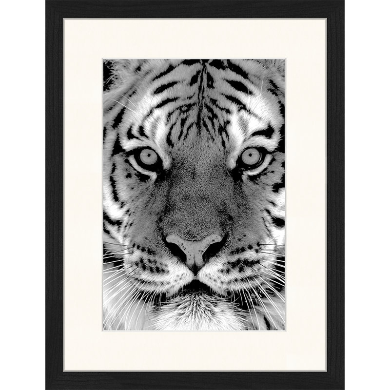 Bloomsbury Market Black and White Siberian Tiger Picture Frame